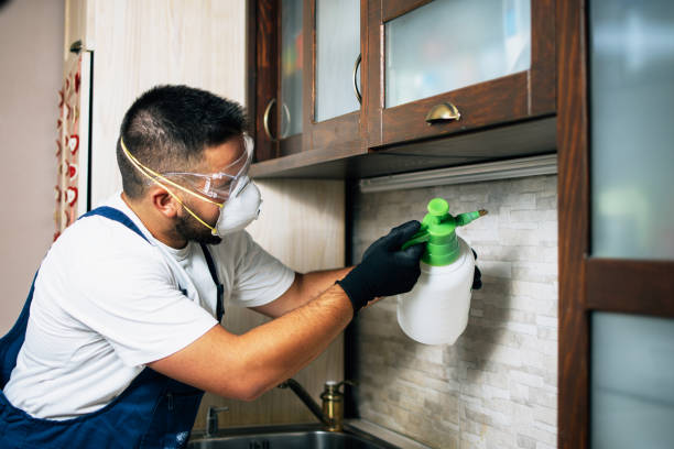 Best Local Pest Control Services  in Mendenhall, MS
