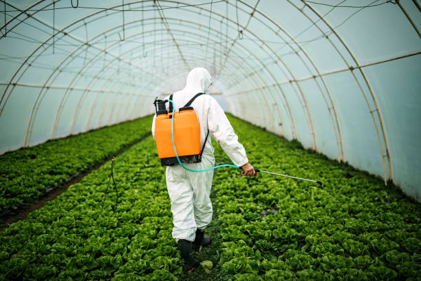 Best Pest Prevention Services  in Mendenhall, MS