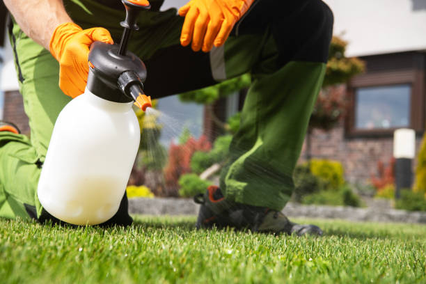 Reliable Mendenhall, MS Pest Control Solutions