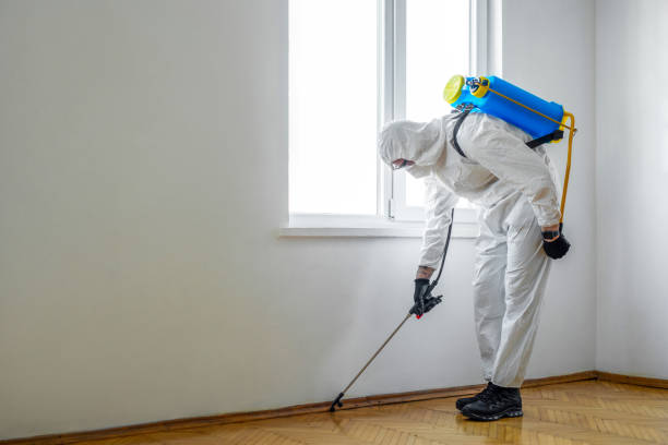 Best Affordable Pest Control Services  in Mendenhall, MS